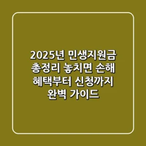2025년 민생지원금 총정리: 놓치면 손해! 혜택부터 신청까지 완벽 가이드