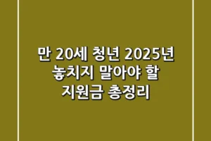 만 20세 청년, 2025년 놓치지 말아야 할 지원금 총정리