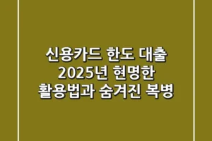 신용카드 한도 대출, 2025년 현명한 활용법과 숨겨진 복병