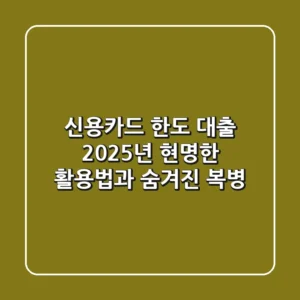 신용카드 한도 대출, 2025년 현명한 활용법과 숨겨진 복병