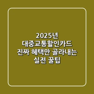 2025년 대중교통할인카드, 진짜 혜택만 골라내는 실전 꿀팁