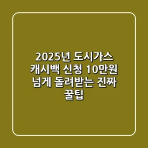 2025년 도시가스 캐시백 신청, 10만원 넘게 돌려받는 진짜 꿀팁!