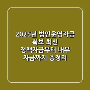"2025년 법인운영자금 확보", 최신 정책자금부터 내부 자금까지 총정리