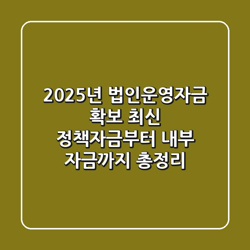 "2025년 법인운영자금 확보", 최신 정책자금부터 내부 자금까지 총정리