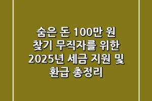 “숨은 돈 100만 원 찾기?”, 무직자를 위한 2025년 세금 지원 및 환급 총정리