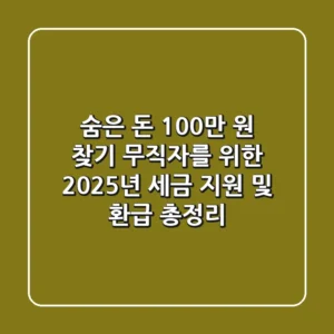 "숨은 돈 100만 원 찾기?", 무직자를 위한 2025년 세금 지원 및 환급 총정리