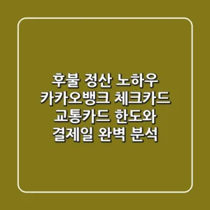 "후불 정산 노하우", 카카오뱅크 체크카드 교통카드 한도와 결제일 완벽 분석
