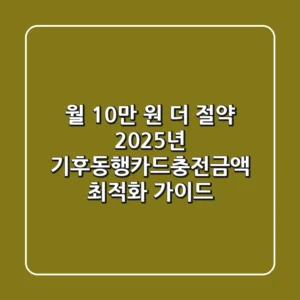 "월 10만 원 더 절약?", 2025년 기후동행카드충전금액 최적화 가이드