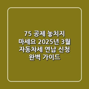 "7.5% 공제 놓치지 마세요", 2025년 3월 자동차세 연납 신청 완벽 가이드