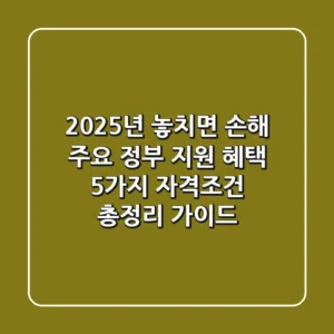 "2025년 놓치면 손해", 주요 정부 지원 혜택 5가지 자격조건 총정리 가이드