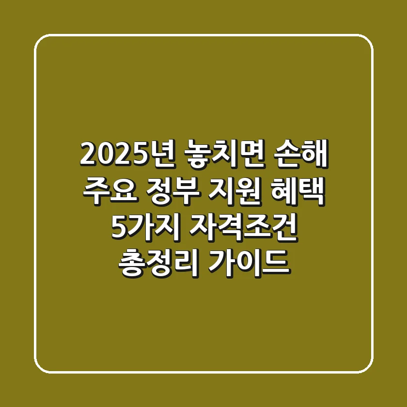 "2025년 놓치면 손해", 주요 정부 지원 혜택 5가지 자격조건 총정리 가이드