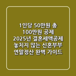 "1인당 50만원 총 100만원 공제", 2025년 결혼세액공제 놓치지 않는 신혼부부 연말정산 완벽 가이드