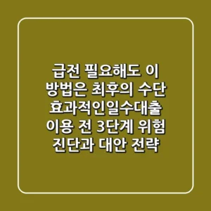 "급전 필요해도 이 방법은 최후의 수단", 효과적인일수대출 이용 전 3단계 위험 진단과 대안 전략