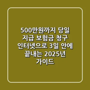 "500만원까지 당일 지급", 보험금 청구 인터넷으로 3일 안에 끝내는 2025년 가이드
