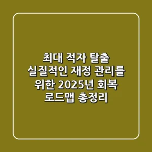 "최대 적자 탈출", 실질적인 재정 관리를 위한 2025년 회복 로드맵 총정리